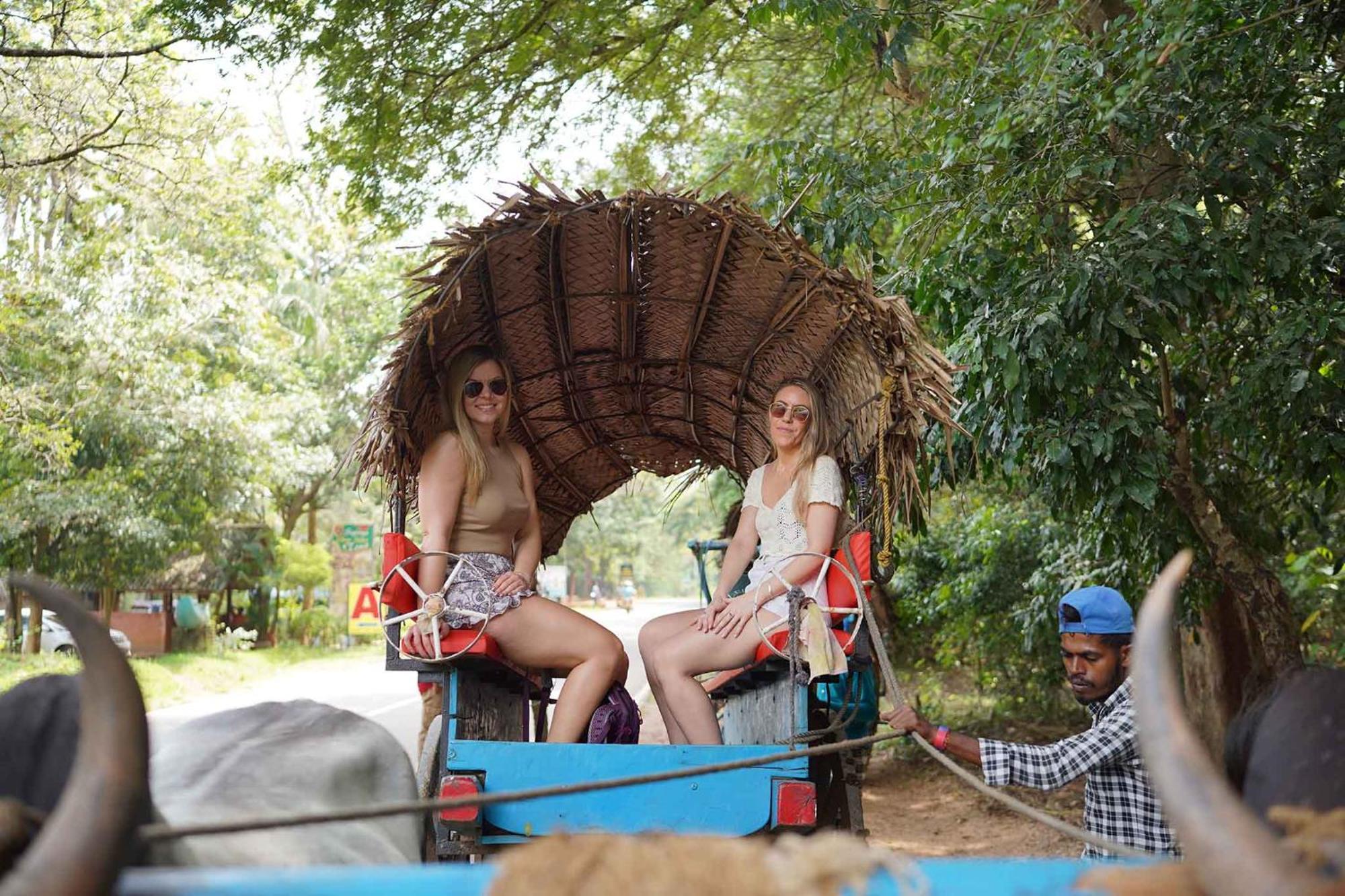 Sigiriya Kingdom Resort Дамбулла Экстерьер фото
