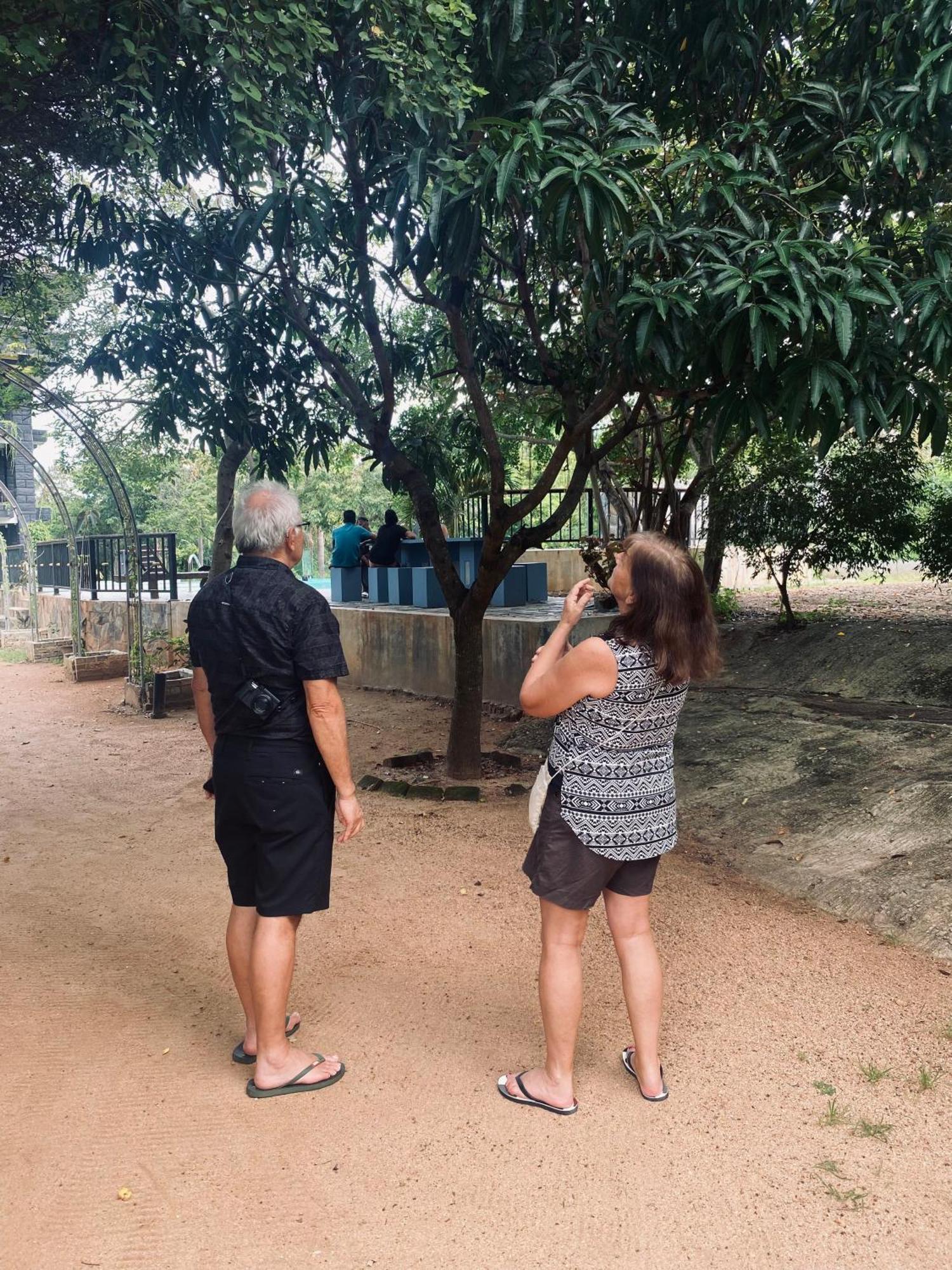 Sigiriya Kingdom Resort Дамбулла Экстерьер фото