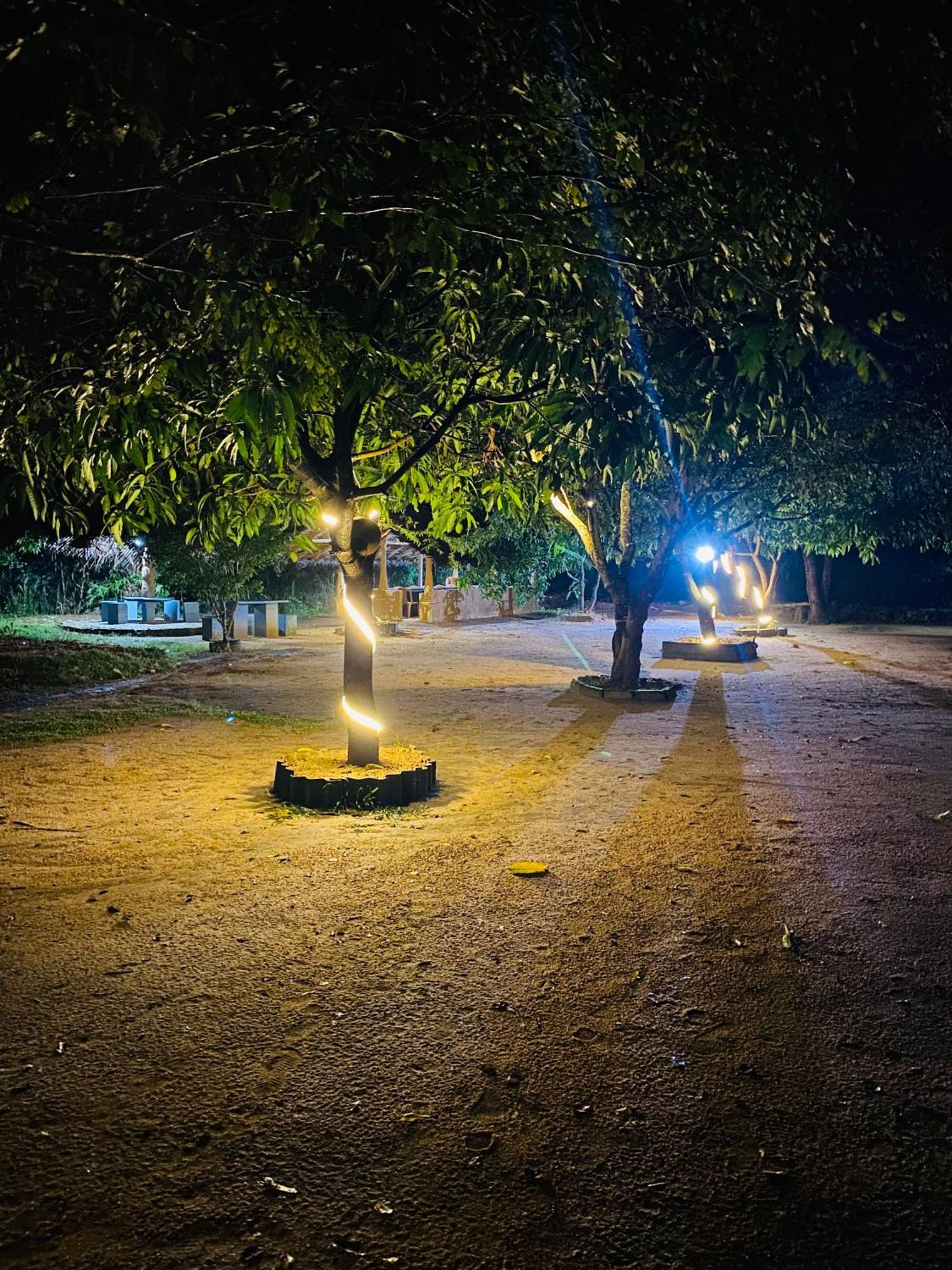 Sigiriya Kingdom Resort Дамбулла Экстерьер фото