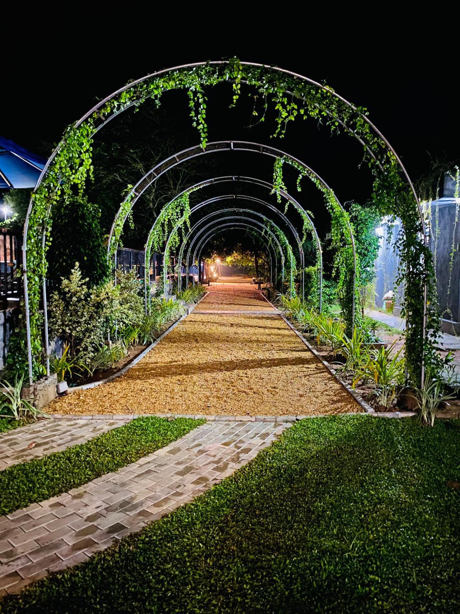 Sigiriya Kingdom Resort Дамбулла Экстерьер фото